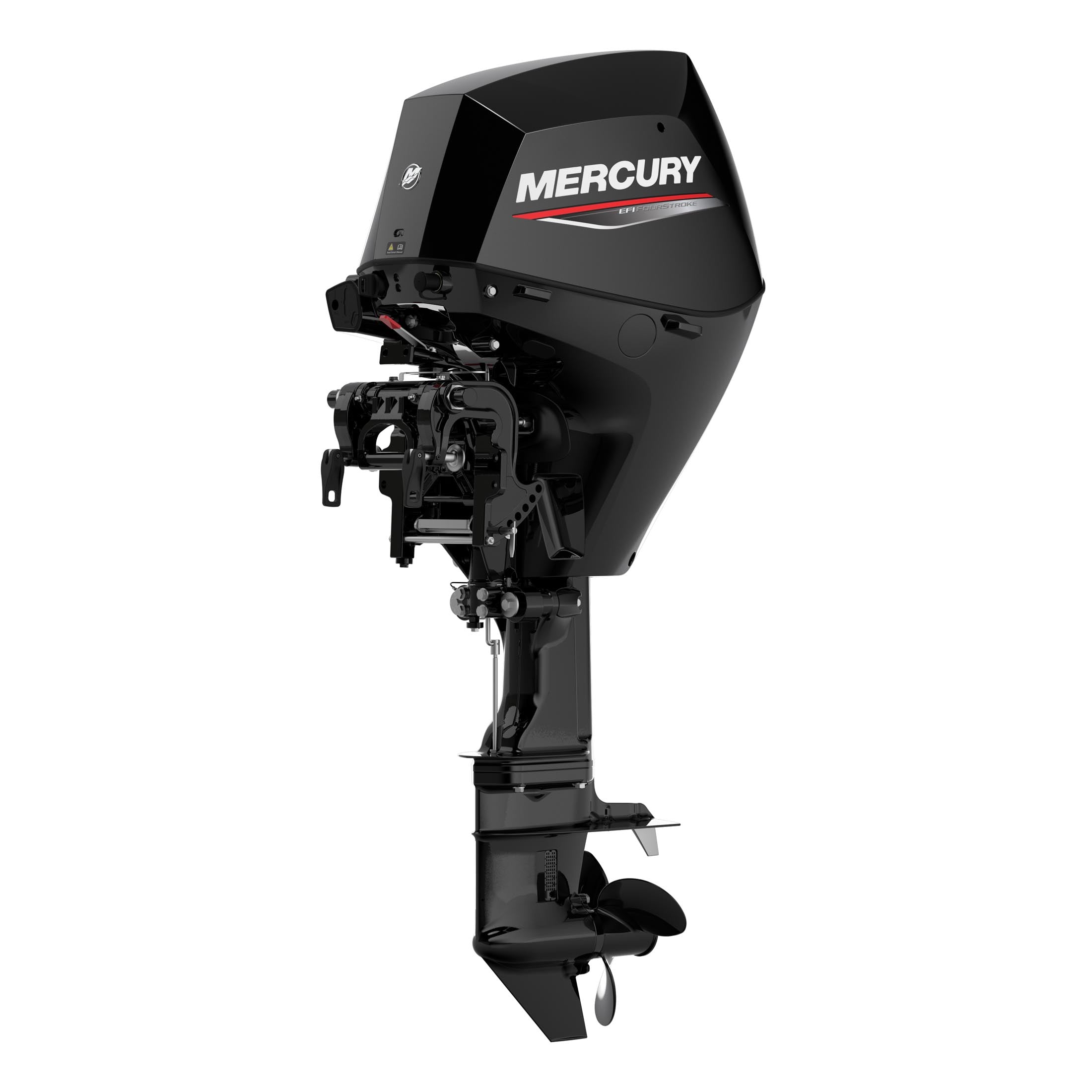 Mercury 25 EFI