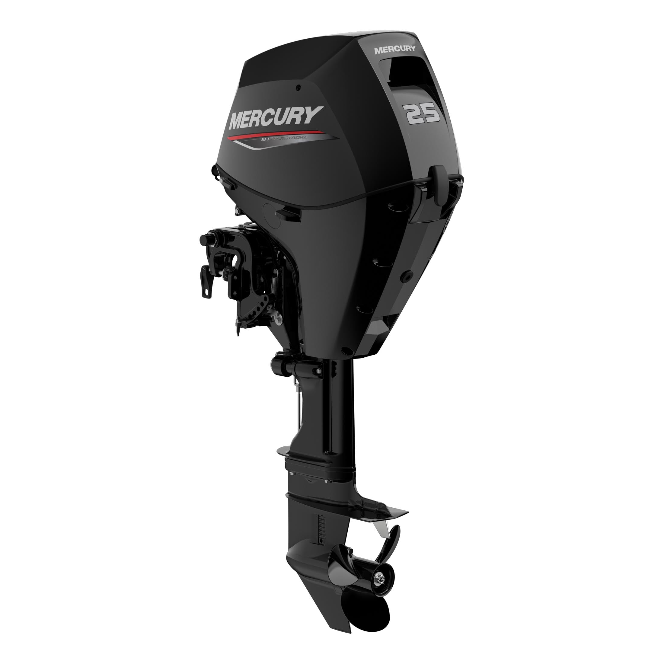 Mercury 25 EFI