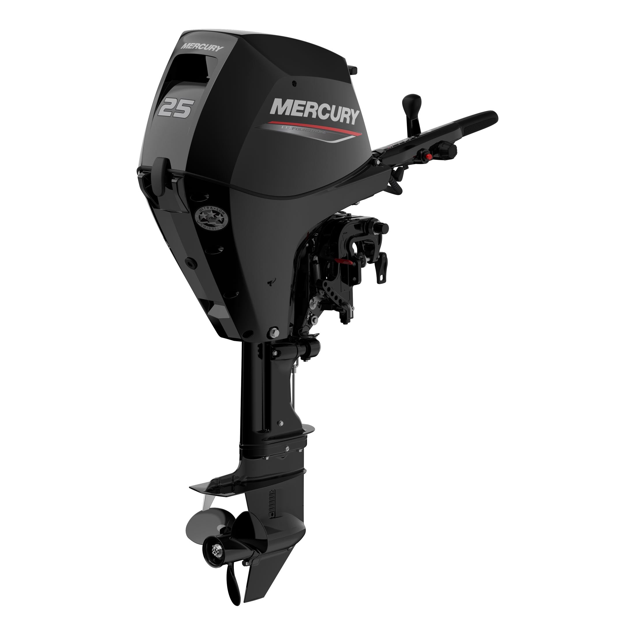 Mercury 25 EFI
