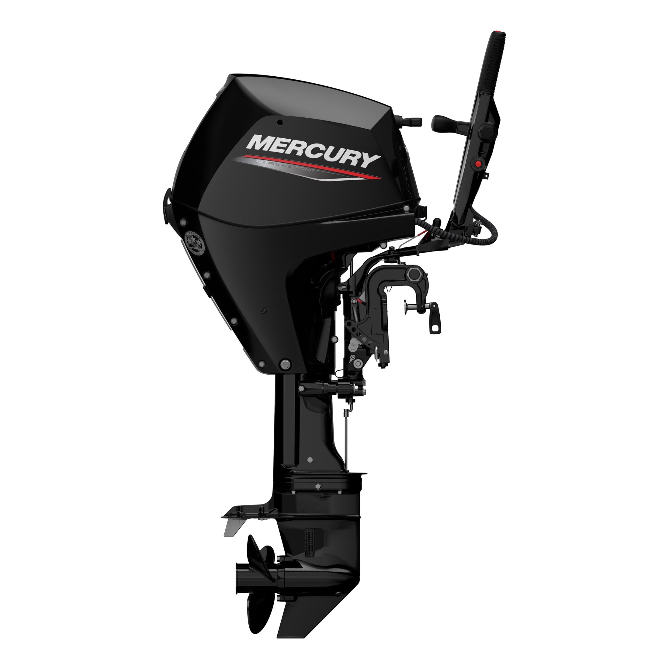 Mercury 25 EFI
