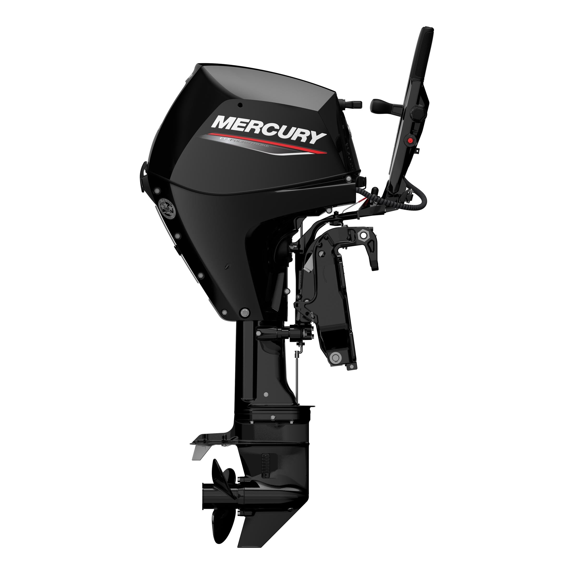 Mercury 30 EFI