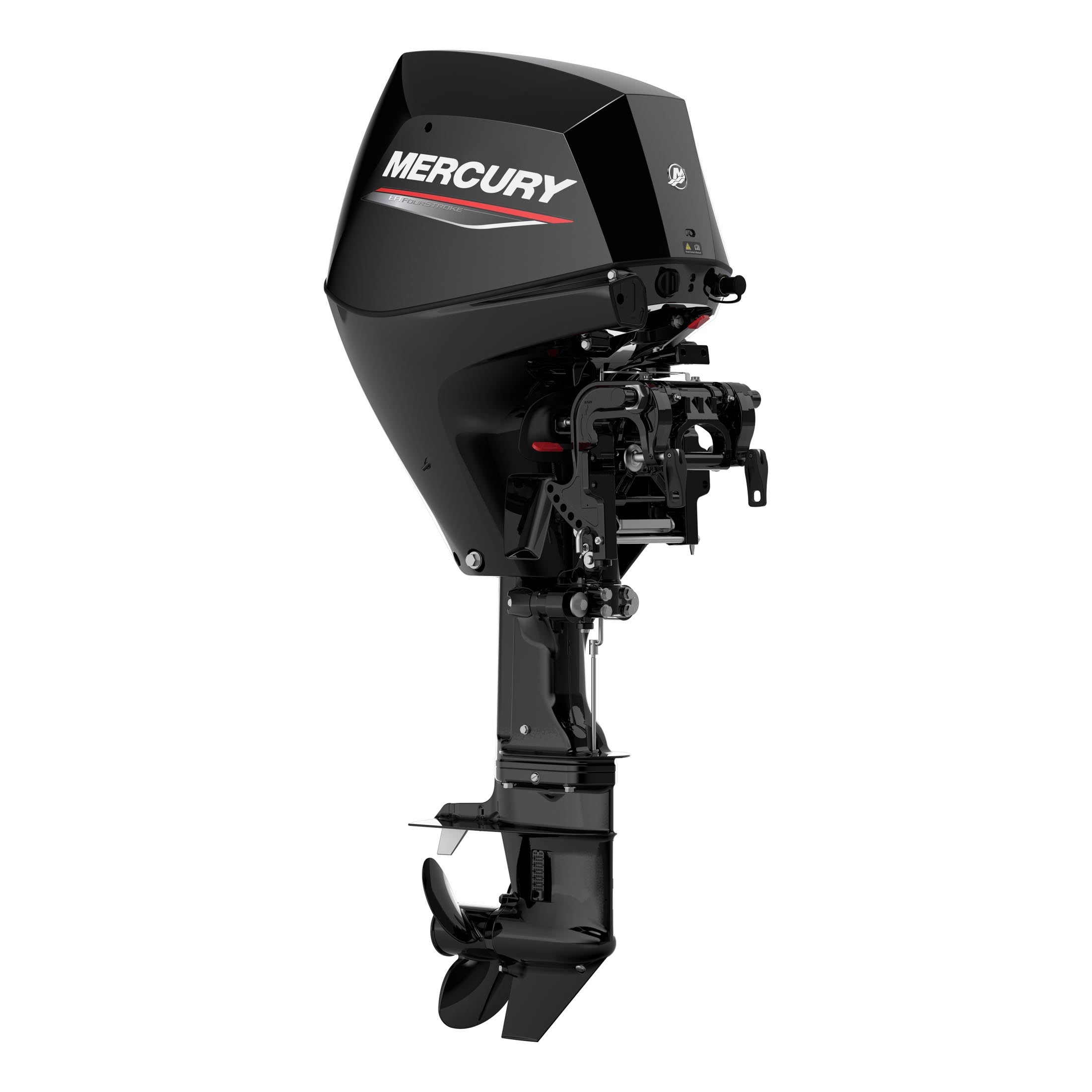 Mercury 25 EFI