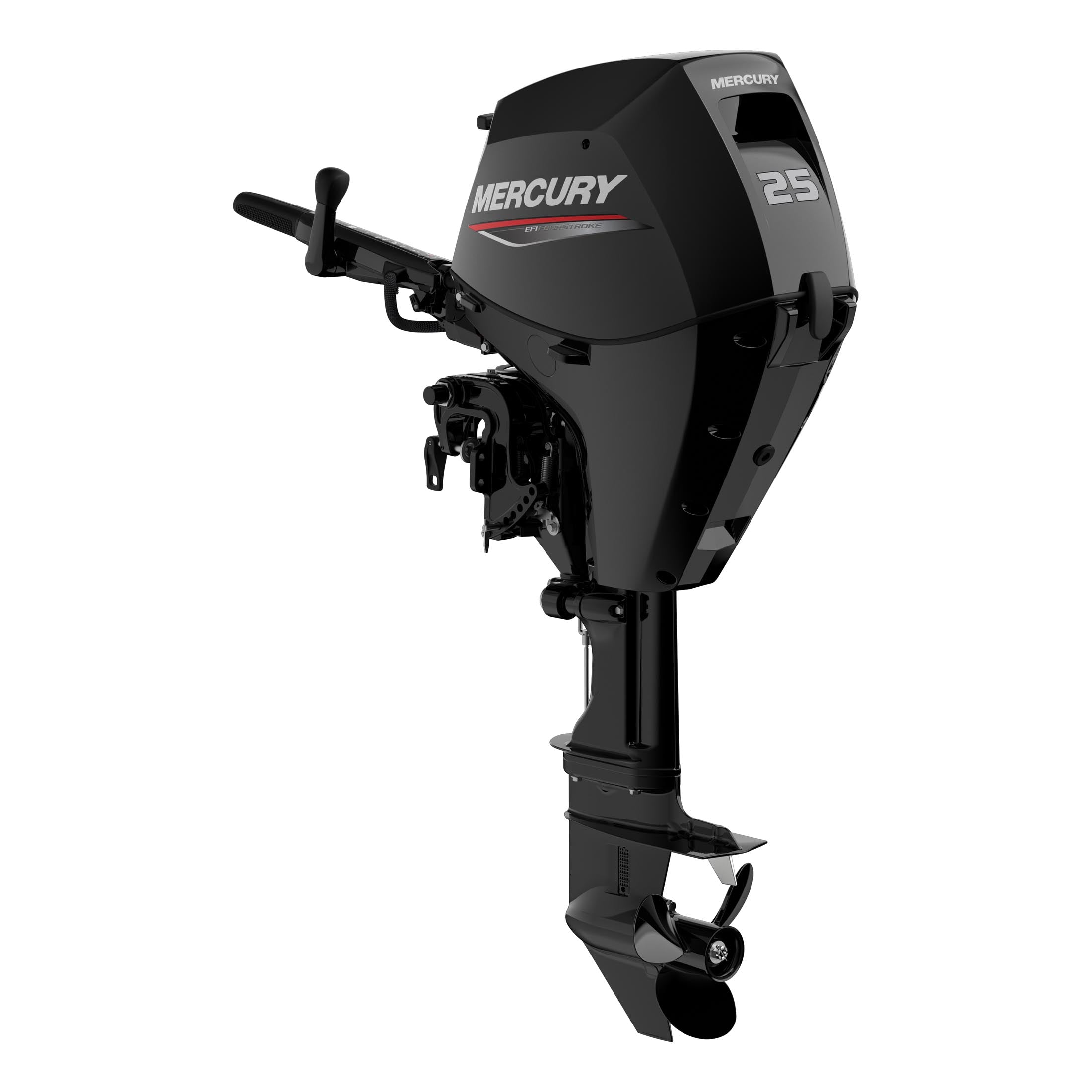 Mercury 25 EFI