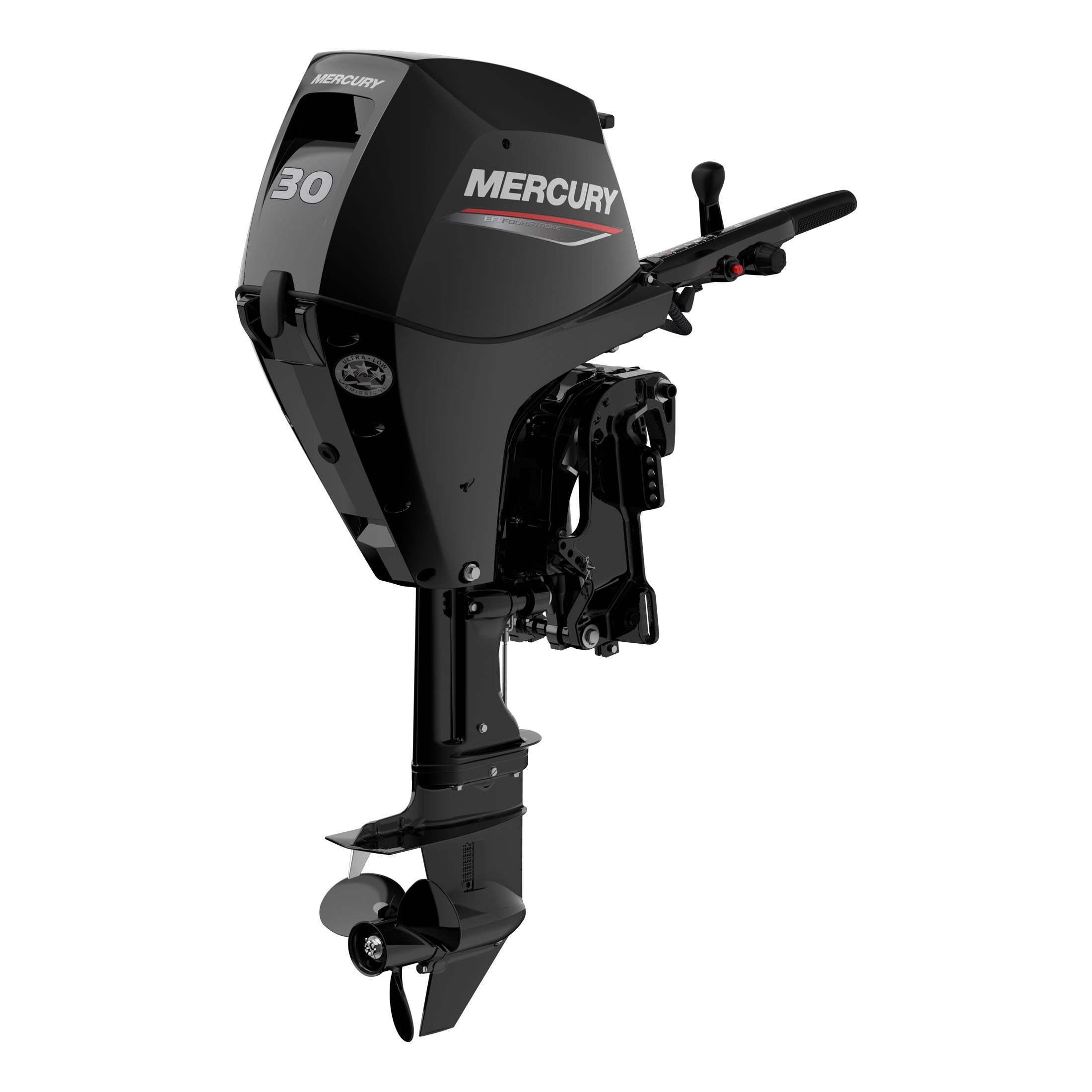 Mercury 30 EFI